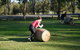 Hunter Valley Wine Barrel Rolling - thumb 4