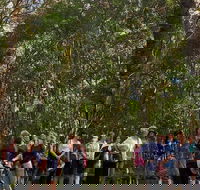 Breakfast Bushwalk Tour in Captain Cook's Monument - Tourism Hervey Bay