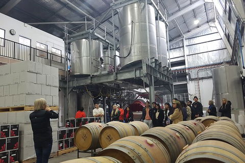 Hunter Valley Small Group Wine, Gin, Cheese & Chocolate Tour - Hervey Bay Accommodation 6
