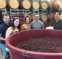 Hunter Valley Small Group Wine Gin Cheese  Chocolate Tour - Hervey Bay Accommodation