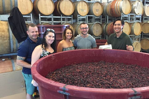 Hunter Valley Small Group Wine, Gin, Cheese & Chocolate Tour - Hervey Bay Accommodation 0