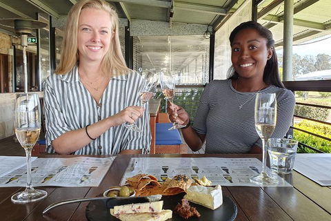 Hunter Valley Exclusive Kangaroo And Wine Tasting Experience - Hervey Bay Accommodation 7