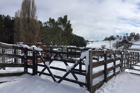 Paddock To Plate Farm Tour And Tasting - Tourism Hervey Bay 11
