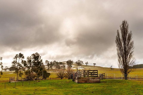 Paddock To Plate Farm Tour And Tasting - Tourism Hervey Bay 0