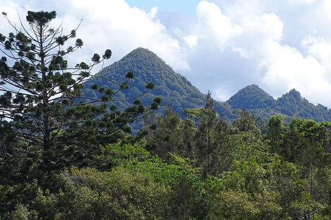 Byron Bay Rainforest Eco-Cruise - Hervey Bay Accommodation 3