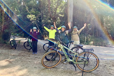 Guided E Bike Tour - Unicorn Falls & National Park - Hervey Bay Accommodation 3