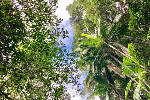 Guided E Bike Tour - Unicorn Falls & National Park - Hervey Bay Accommodation 5