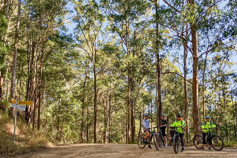 Guided E Bike Tour - Unicorn Falls & National Park - Hervey Bay Accommodation 10