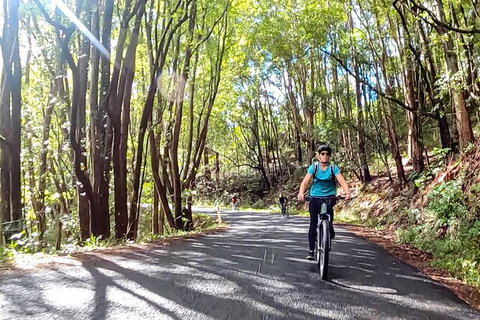 Guided E Bike Tour - Unicorn Falls & National Park - Hervey Bay Accommodation 16