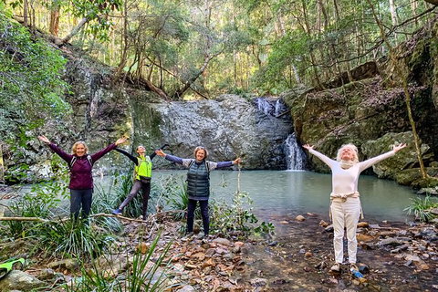 Guided E Bike Tour - Unicorn Falls & National Park - Hervey Bay Accommodation 8