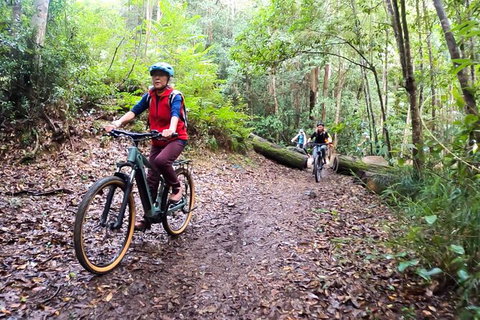 Guided E Bike Tour - Unicorn Falls & National Park - Hervey Bay Accommodation 9