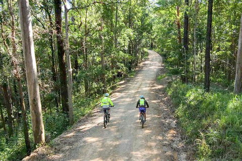 Guided E Bike Tour - Unicorn Falls & National Park - Hervey Bay Accommodation 7