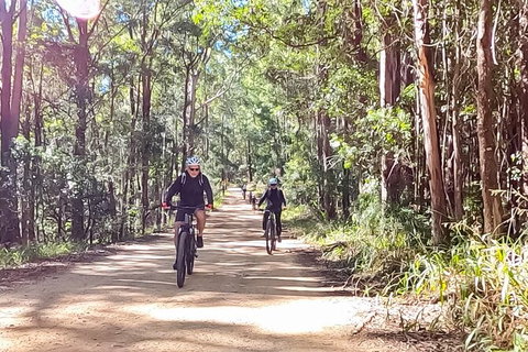 Guided E Bike Tour - Unicorn Falls & National Park - Hervey Bay Accommodation 6