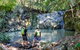 Guided E Bike Tour - Unicorn Falls & National Park - thumb 2