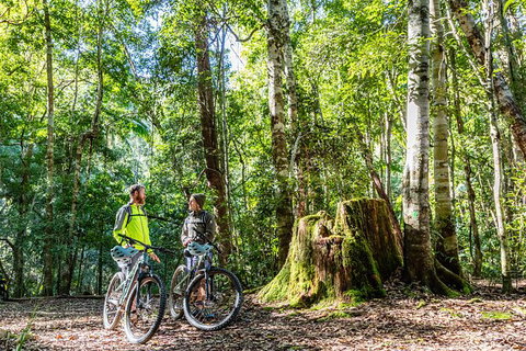 Guided E Bike Tour - Unicorn Falls & National Park - Hervey Bay Accommodation 14