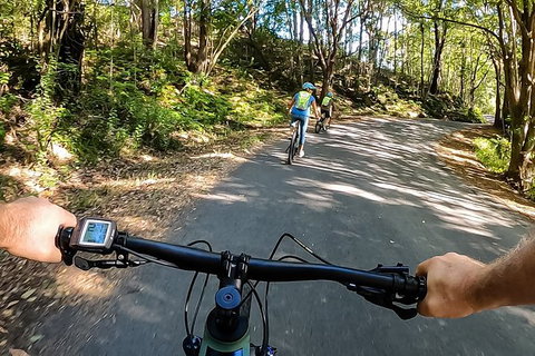 Guided E Bike Tour - Unicorn Falls & National Park - Hervey Bay Accommodation 1