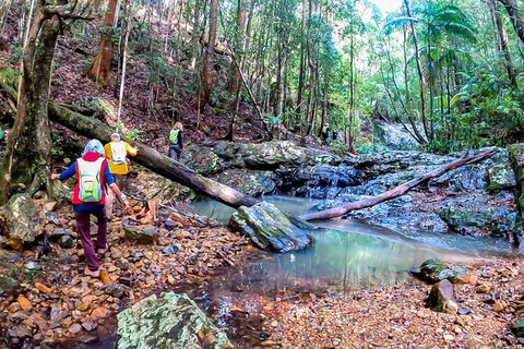 Guided E Bike Tour - Unicorn Falls & National Park - Hervey Bay Accommodation 17