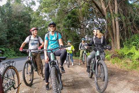 Guided E Bike Tour - Unicorn Falls & National Park - Hervey Bay Accommodation 11