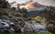 Blue Mountains Botanic Garden And Bilpin Tour From Katoomba With Cider Tasting - thumb 2