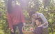 Blue Mountains Botanic Garden And Bilpin Tour From Katoomba With Cider Tasting - thumb 1