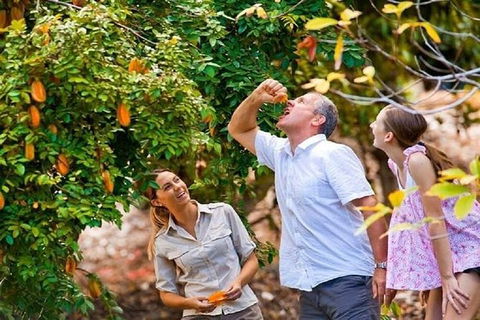 Full-Day Guided Tour Byron Bay With Pickup - Hervey Bay Accommodation 1