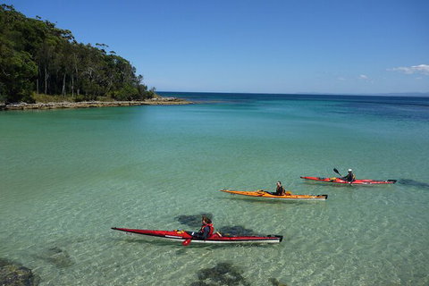 Half-Day Jervis Bay Sea Kayak Tour - Hervey Bay Accommodation 3