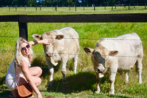 Hipster Sipster Brewery & Distillery Tour - Northern NSW - Hervey Bay Accommodation 8