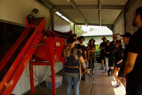 Pecan Farm Tour And Workshop, Byron Bay Hinterland - Hervey Bay Accommodation 4