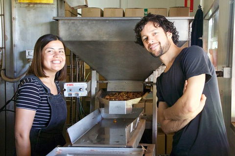 Pecan Farm Tour And Workshop, Byron Bay Hinterland - Hervey Bay Accommodation 7