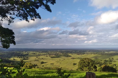 Pecan Farm Tour And Workshop, Byron Bay Hinterland - Hervey Bay Accommodation 1