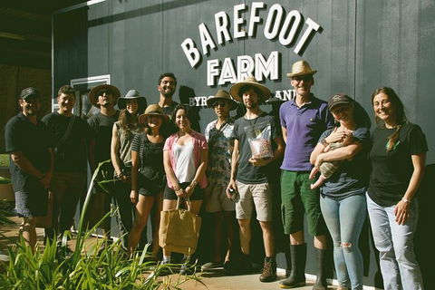 Pecan Farm Tour And Workshop, Byron Bay Hinterland - Hervey Bay Accommodation 0