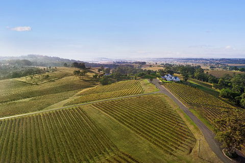 Audrey Wilkinson Vineyard: Fromage And Fortified Wine Experience - Hervey Bay Accommodation 1