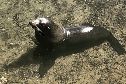 South Coast Photography Field Day - Hervey Bay Accommodation 5