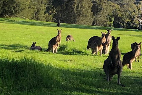 South Coast Photography Field Day - Hervey Bay Accommodation 6