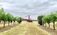 Private Helicopter Flight To Hunter Valley With A La Carte Lunch - For 2 - thumb 0