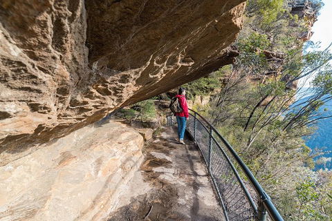Blue Mountains Highlights & Wildlife Park - Tourism Hervey Bay 0