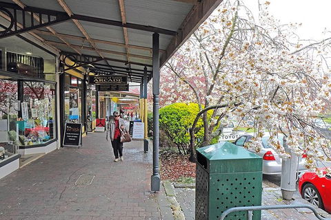 Blue Mountains Highlights & Wildlife Park - Tourism Hervey Bay 2