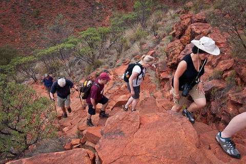 Uluru, Kata Tjuta And Kings Canyon Camping Safari From Alice Springs - Hervey Bay Accommodation 3