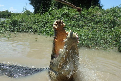 Jumping Crocodile Day Trip From Darwin - Tourism Hervey Bay 4