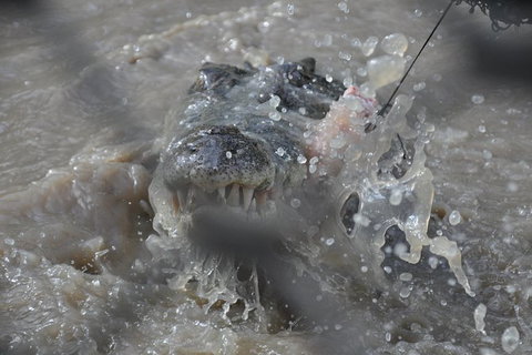 Jumping Crocodile Day Trip From Darwin - Tourism Hervey Bay 1