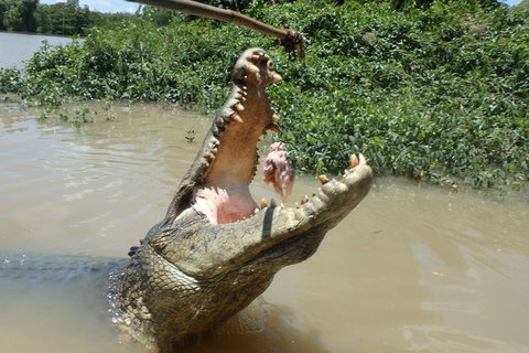 Jumping Crocodile Day Trip From Darwin - Tourism Hervey Bay 2