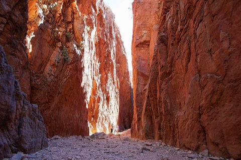 Best Of Alice Springs Full Day Tour - Tourism Hervey Bay 6