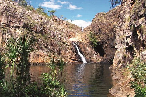 Kakadu, Katherine & Litchfield Adventure - Tourism Hervey Bay 1