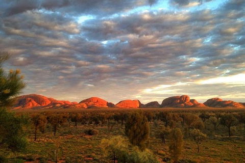 5-Hour Kata Tjuta Sunrise Tour From Ayers Rock With Breakfast - Hervey Bay Accommodation 0
