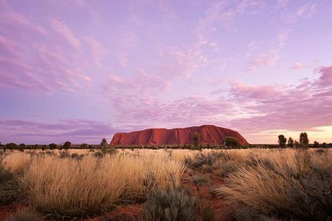 Sunset Australian Barbecue Dinner In Uluru - Tourism Hervey Bay 0