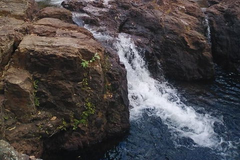 Full-Day Private Guided Tour To Litchfield National Park - Tourism Hervey Bay 8