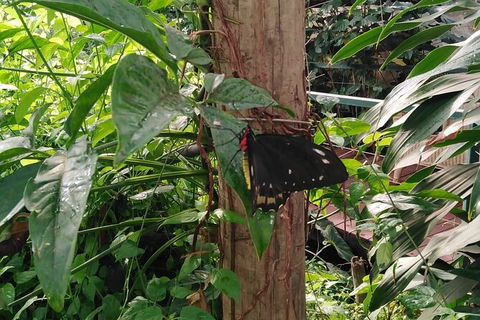 Full-Day Private Guided Tour To Litchfield National Park - Tourism Hervey Bay 1