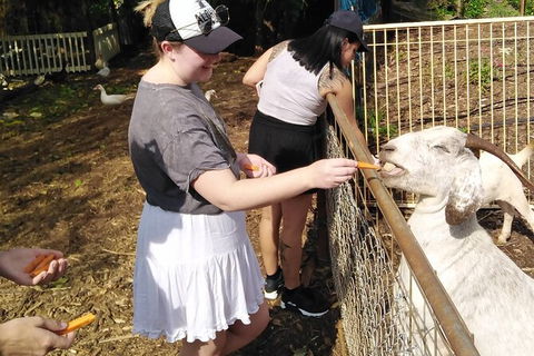 Full-Day Private Guided Tour To Litchfield National Park - Tourism Hervey Bay 4