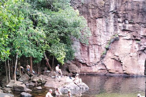 Full-Day Private Guided Tour To Litchfield National Park - Tourism Hervey Bay 16