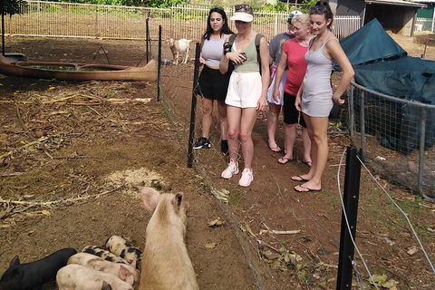 Full-Day Private Guided Tour To Litchfield National Park - Tourism Hervey Bay 13